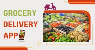 mobile app development company, grocery app